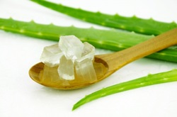 aloe vera leaves and gel