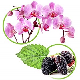 Amaira Natural Lightening Serum ingredients including orchids and bearberry