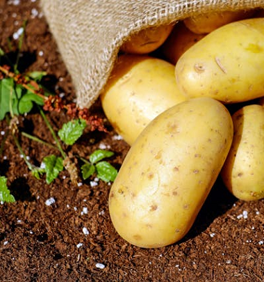 bag of potatoes